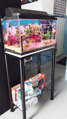 Paquete 1  acuario de 40 litros todo equipado $1450.00